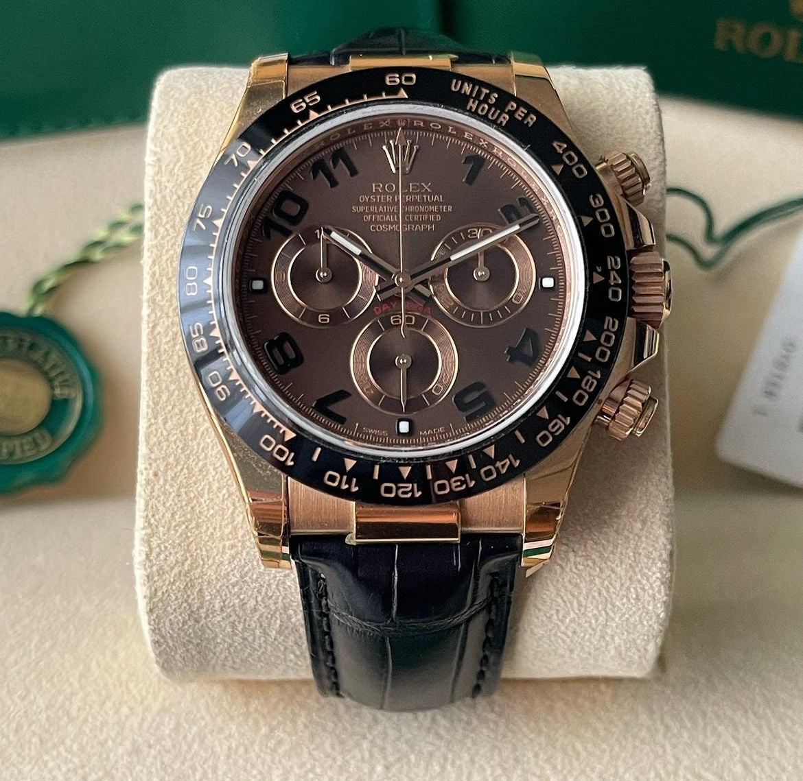 Rolex Daytona chocolate new